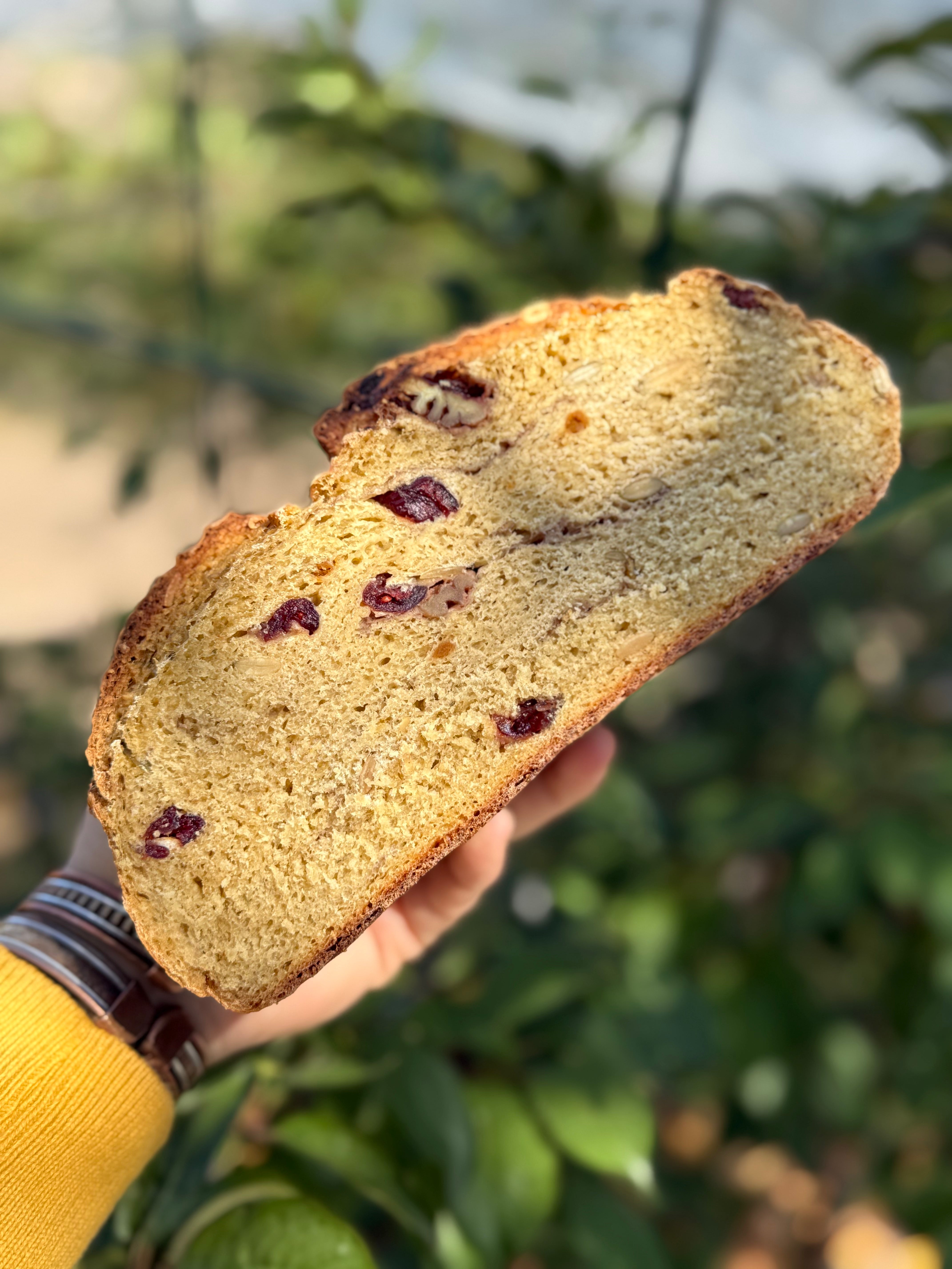 cranberry Pecan & Pumpkin Seeds