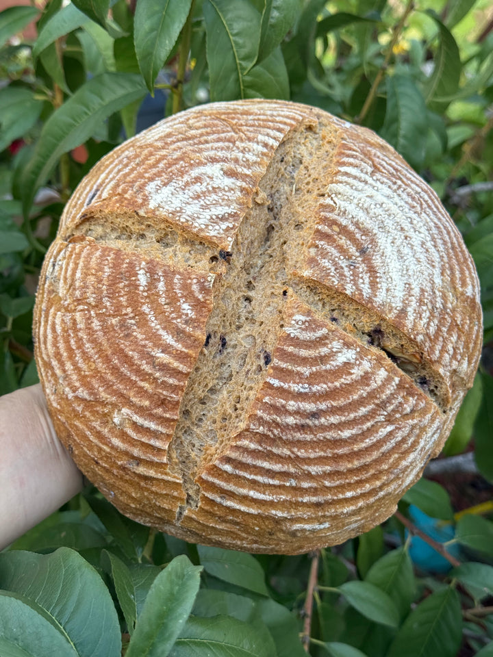 Walnut Lavender & Blueberries