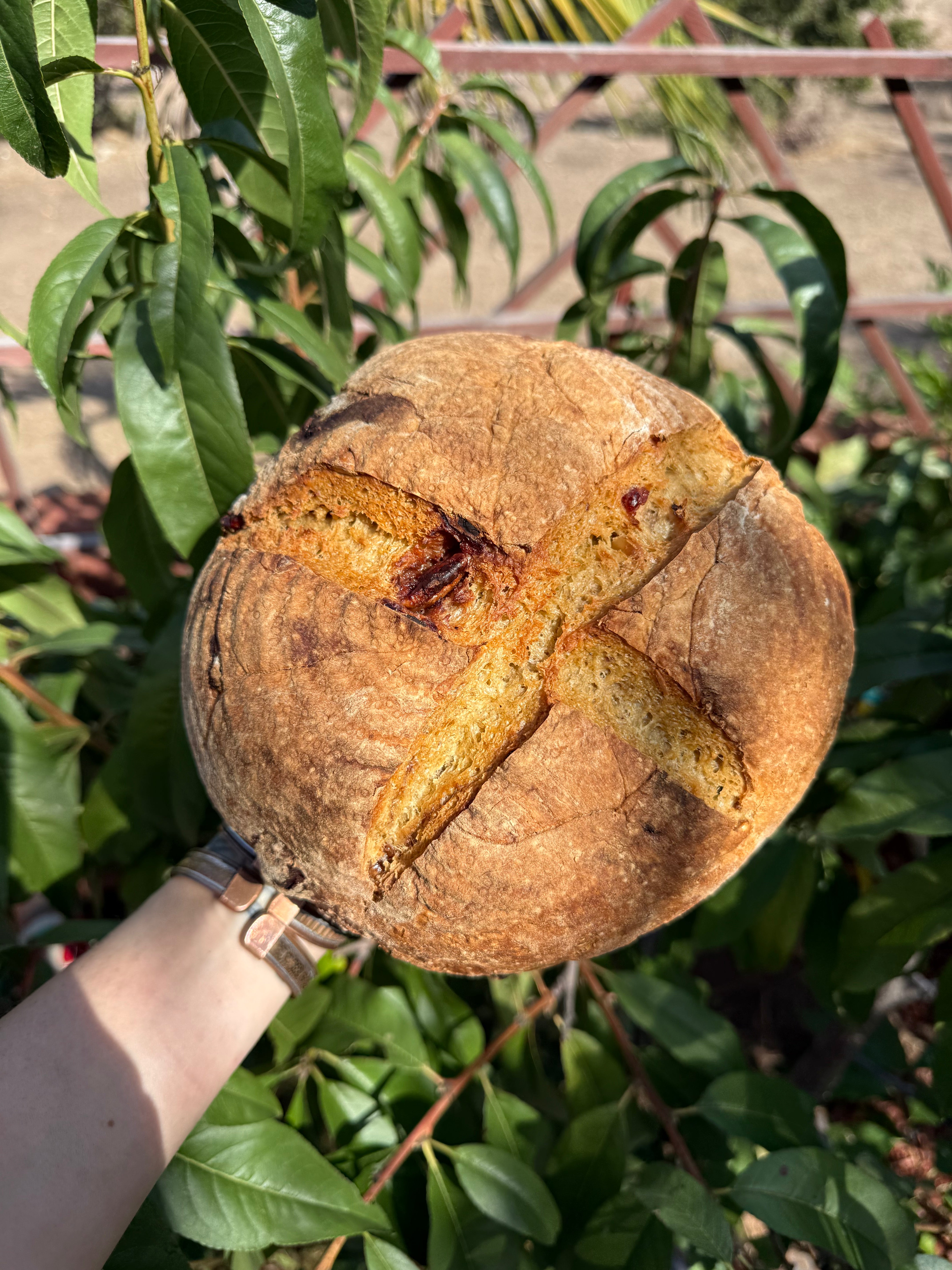 cranberry Pecan & Pumpkin Seeds