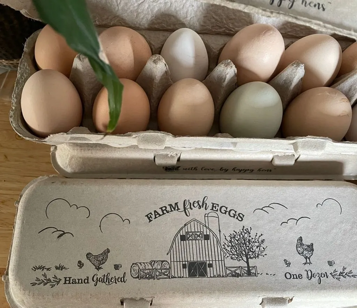 FARM FRESH CHICKEN EGGS - ORGANIC & PASTURE RAISED