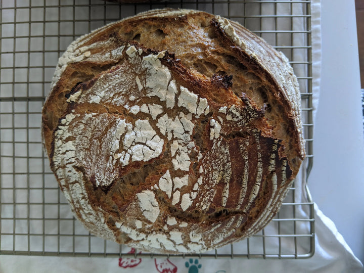 Whole Wheat with Rye