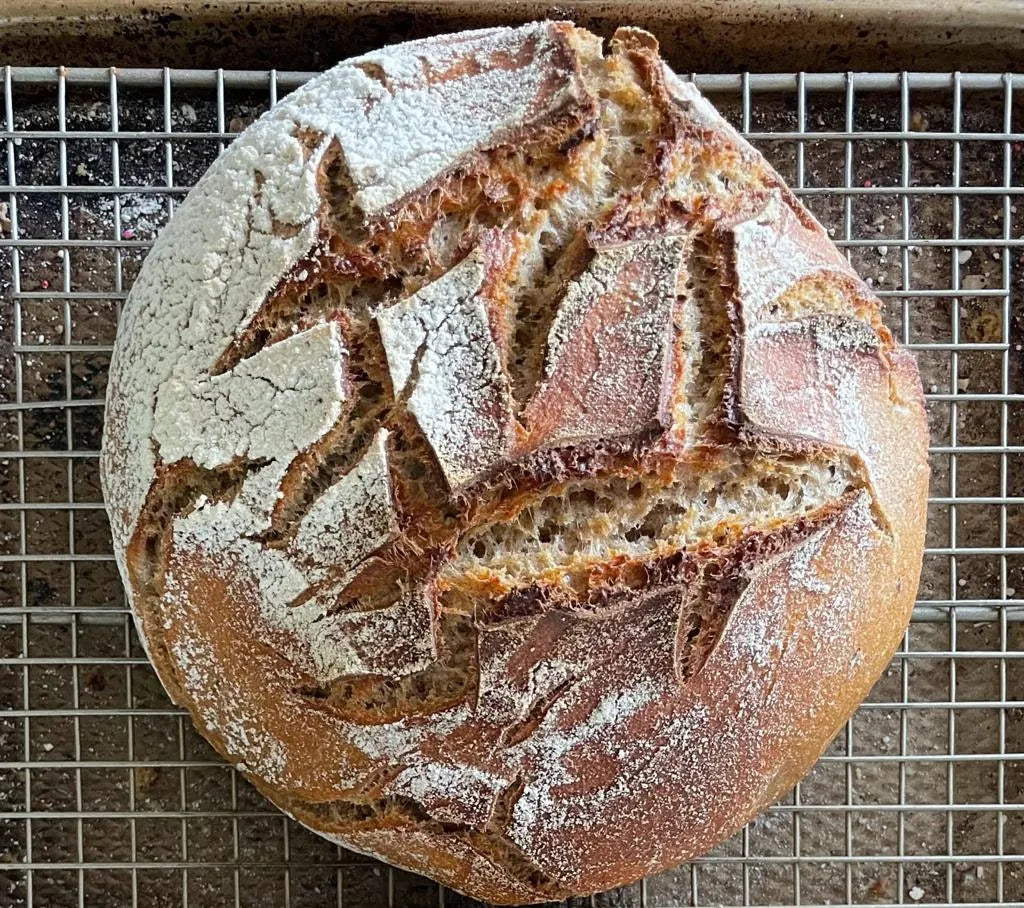 Whole Wheat with Spelt